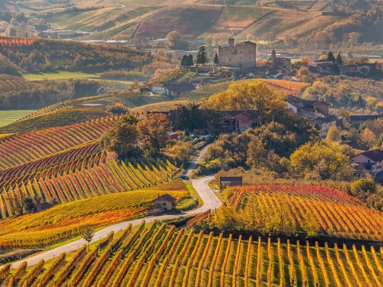欧洲 12 个最佳葡萄酒产区