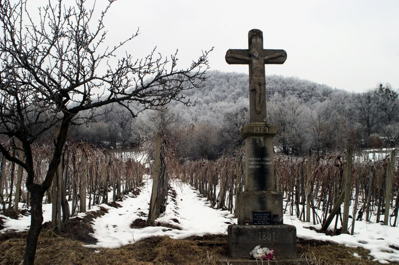 葡萄园前的十字架-斯洛伐克