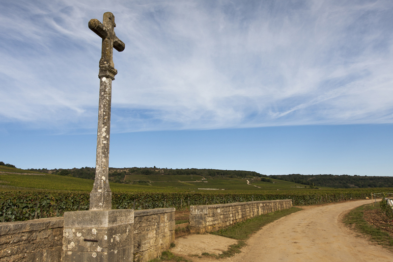 Romanée-Conti葡萄园的十字架