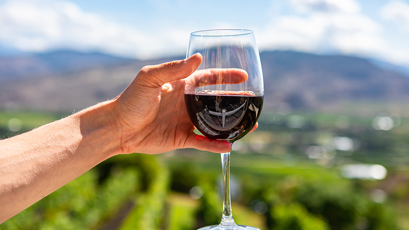 加州赤霞珠是一种被高估的葡萄酒风格