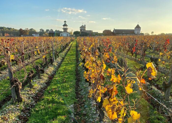 负责任的酿酒厂创造可持续的优质葡萄酒