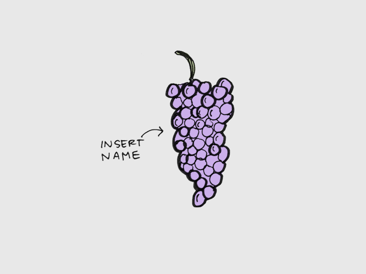 葡萄新品种的诞生插画