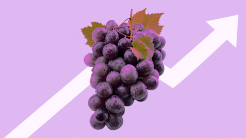2021 年美国葡萄酒出口增长 10%，加州占市场份额的 95%